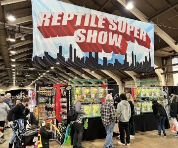Reptile Super Show