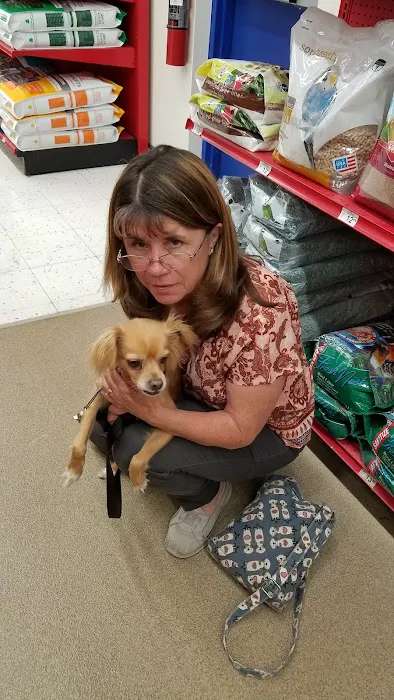 Petco 12