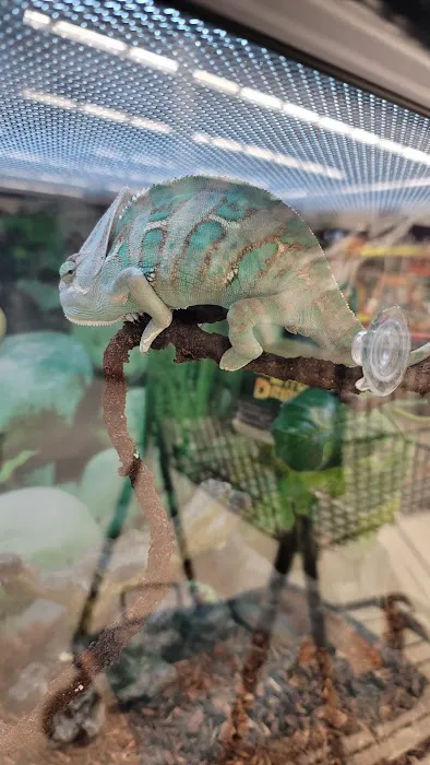 Petco 12
