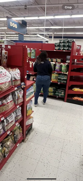 Petco 12