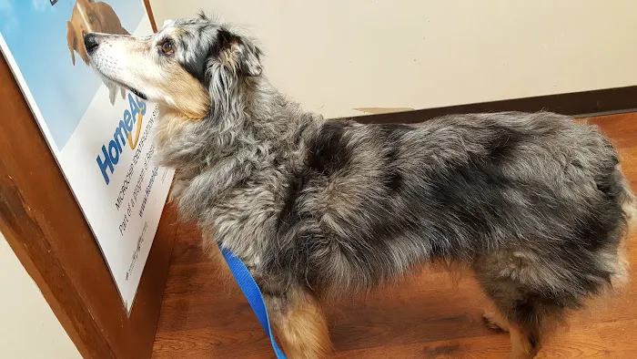 Henry County Animal Clinic 12