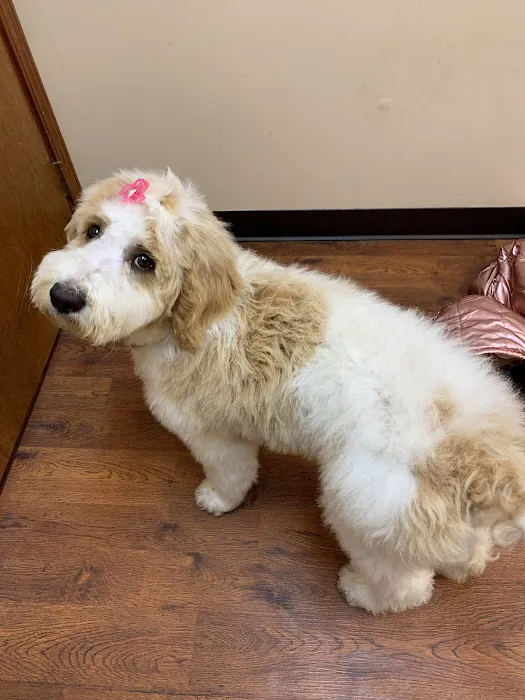 Henry County Animal Clinic 12