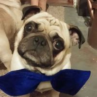 Owen County Animal Clinic ico