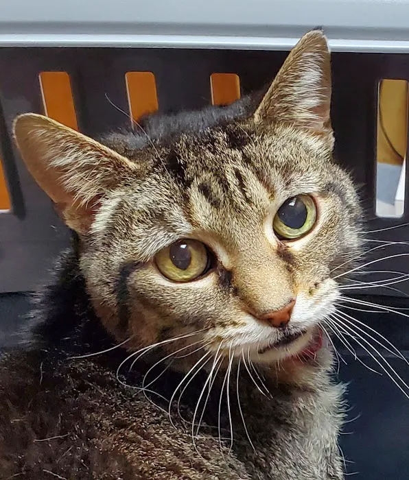 Owen County Animal Clinic 12