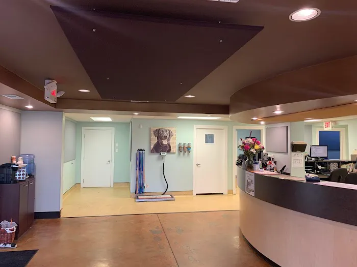 Springhurst Animal Hospital 2