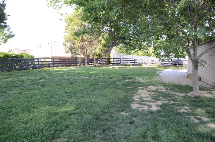 Springhurst Animal Hospital 6