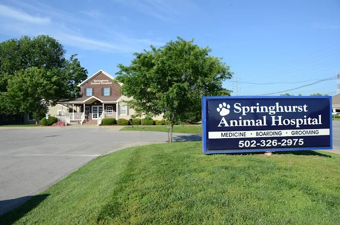 Springhurst Animal Hospital 8