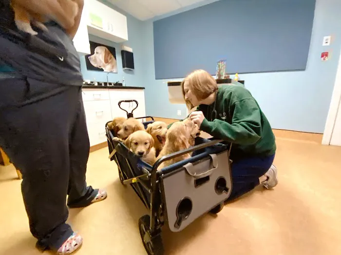 Springhurst Animal Hospital 7