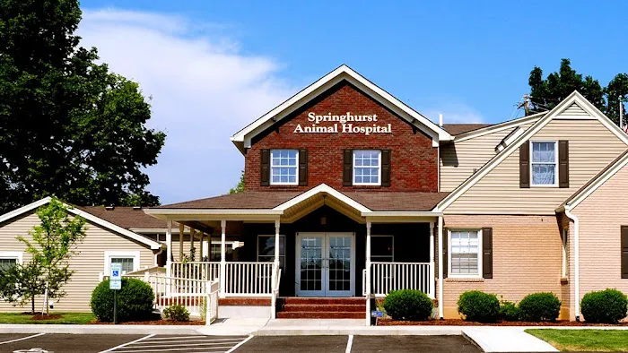 Springhurst Animal Hospital 1
