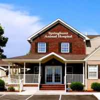 Springhurst Animal Hospital ico