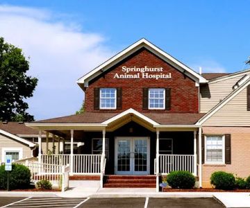 Springhurst Animal Hospital