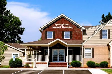 Springhurst Animal Hospital