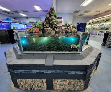 Cali's Tropical Fish