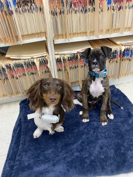 Dr John's Pet Care Clinic 12