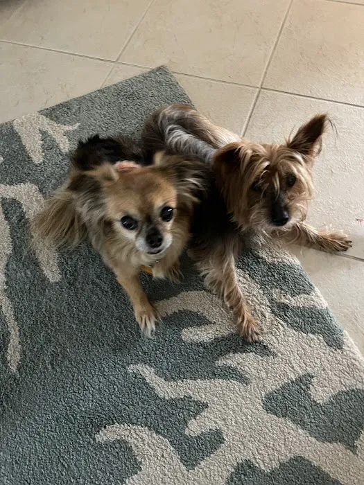 Dr John's Pet Care Clinic 12