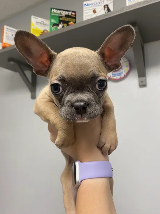 Dr John's Pet Care Clinic 12