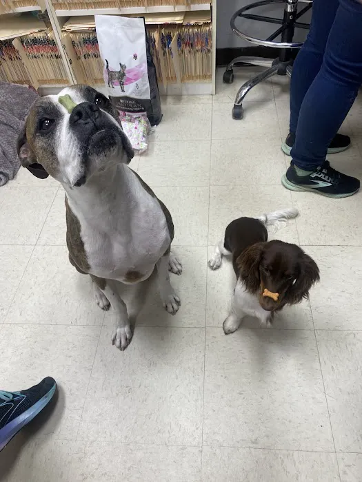 Dr John's Pet Care Clinic 12