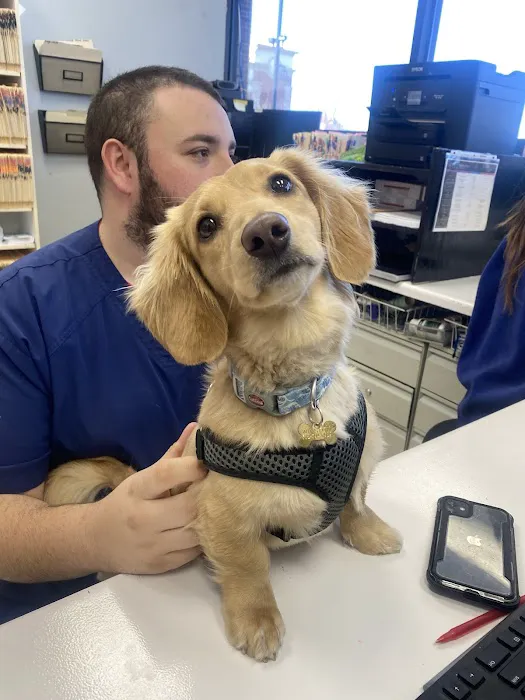 Dr John's Pet Care Clinic 12