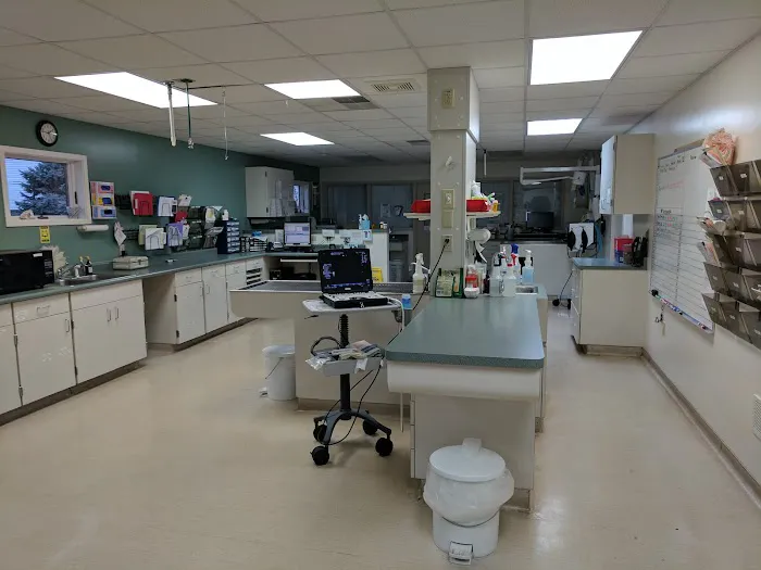 Eastside Animal Hospital 3
