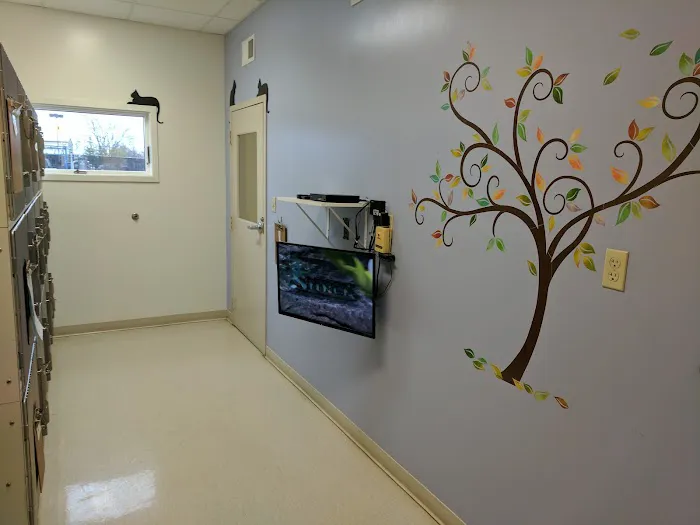 Eastside Animal Hospital 9