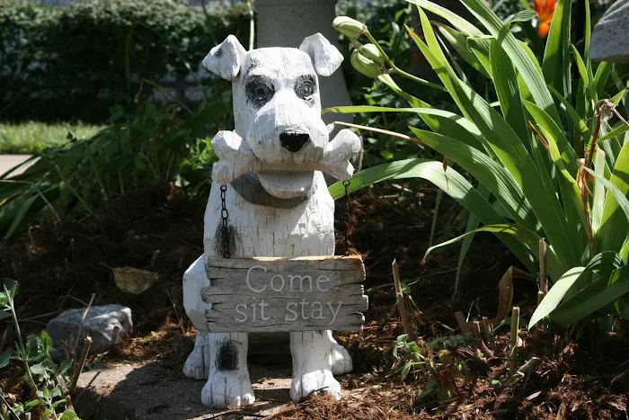 Eastside Animal Hospital 4