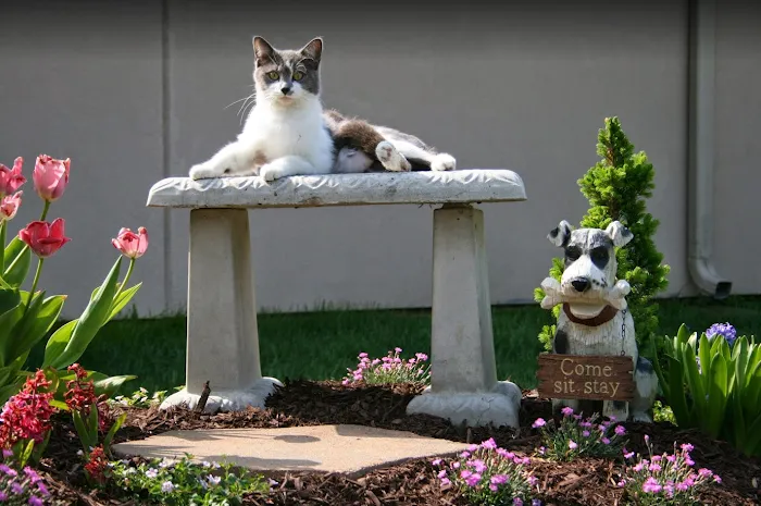 Eastside Animal Hospital 10