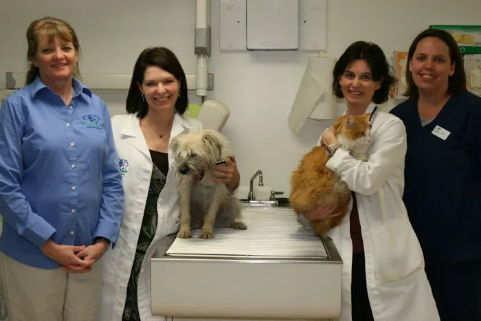 Eastside Animal Hospital 5