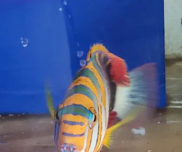 Orange County Reef Care