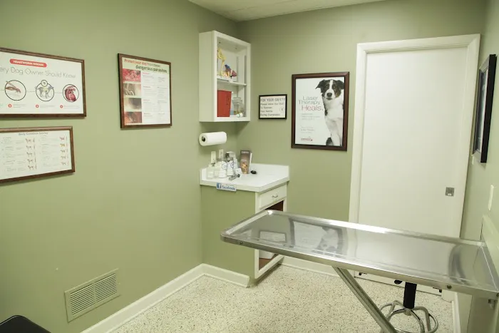 Doerr Animal Clinic 12