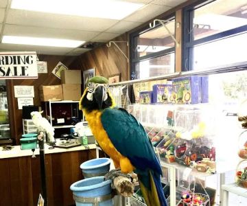 Magnolia Bird Farm