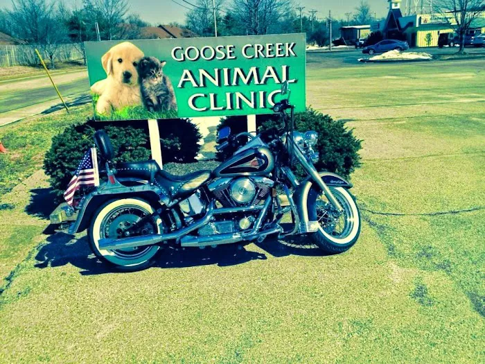 Goose Creek Animal Clinic: Watson Ray DVM 12