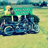 Goose Creek Animal Clinic: Watson Ray DVM ico