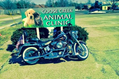 Goose Creek Animal Clinic: Watson Ray DVM