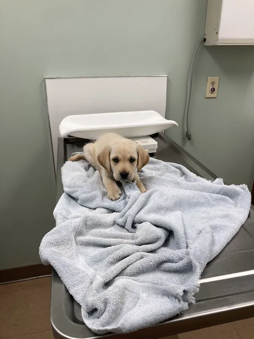 Plantation Animal Clinic 12
