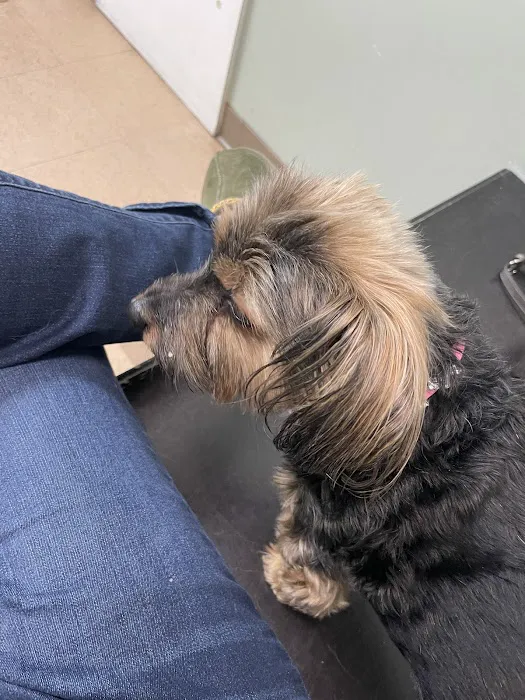 Plantation Animal Clinic 12