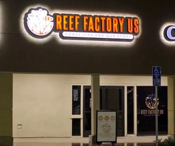 Reef factory us