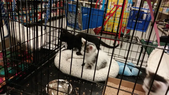 Banfield Pet Hospital 12