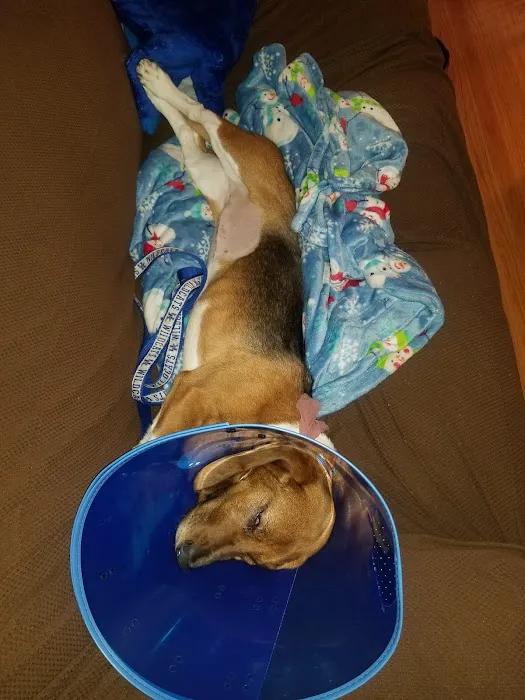 Banfield Pet Hospital 12