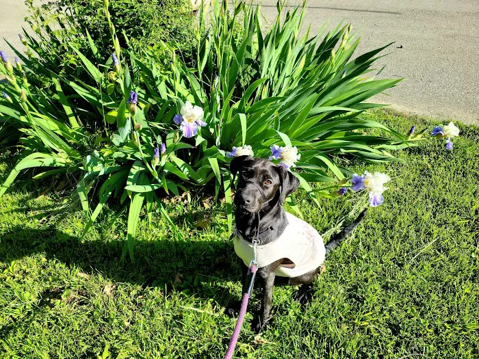 Banfield Pet Hospital 12
