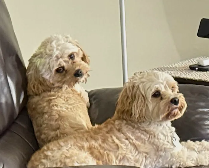 Banfield Pet Hospital 12