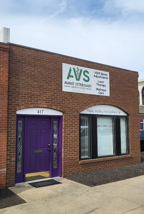 Avant Veterinary Services 12