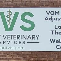 Avant Veterinary Services ico