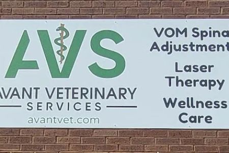 Avant Veterinary Services