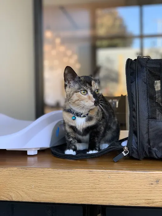 Urban Village Veterinary Care 12