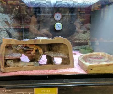 Petco