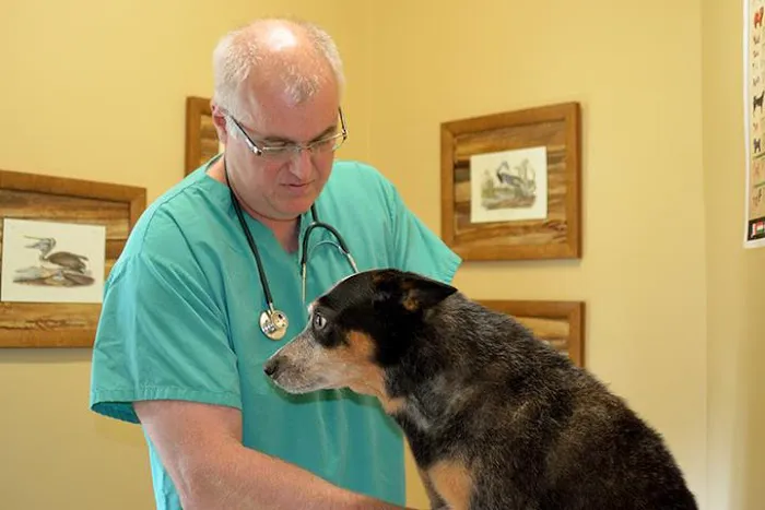 Crockett Veterinary Hospital 12