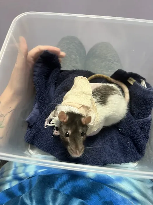 All Pets Veterinary Center 4