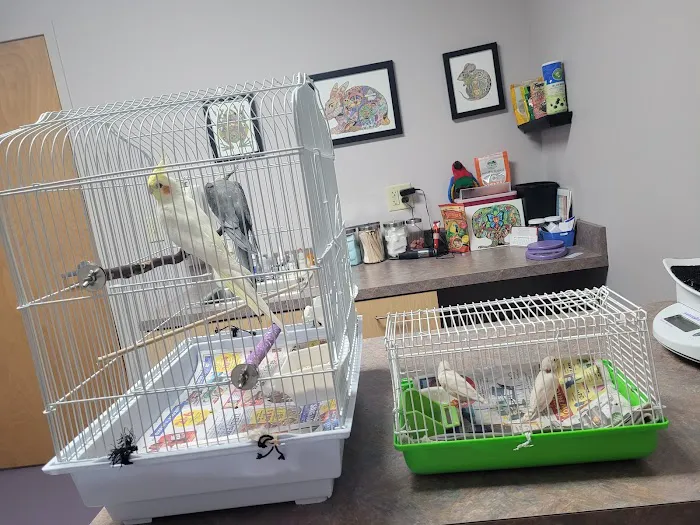 All Pets Veterinary Center 1