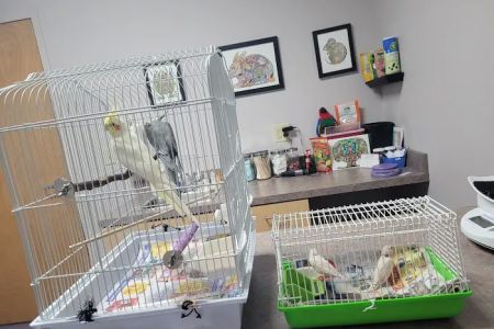 All Pets Veterinary Center