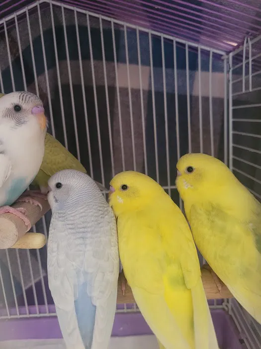 All Pets Veterinary Center 3